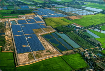 solar-farm-solar-panels